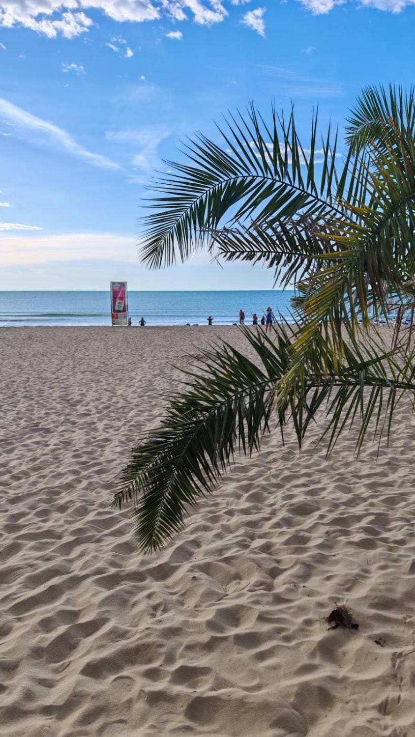 Natural landscape, Beach, Sea view