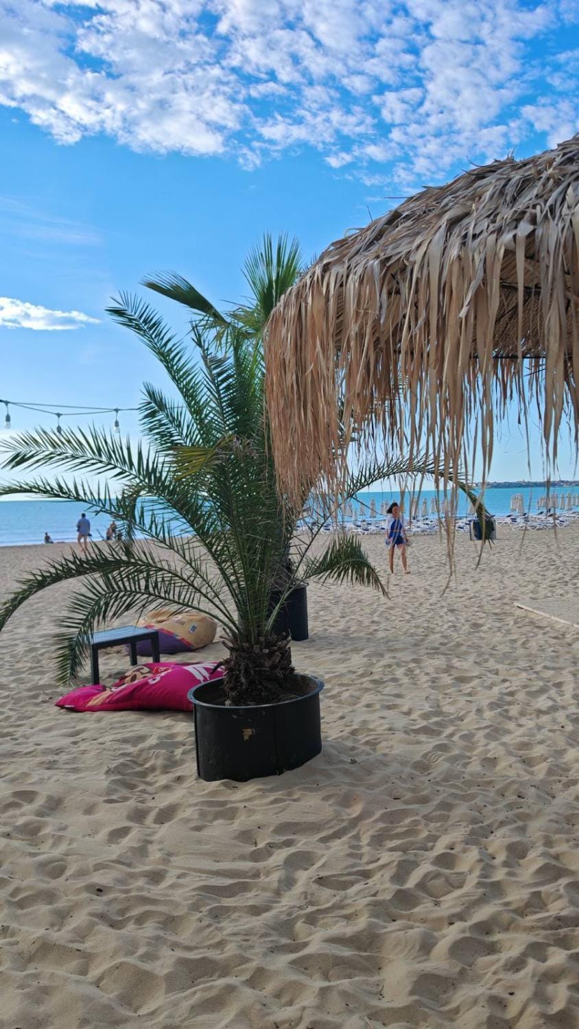 Natural landscape, Beach, Sea view, sunbed