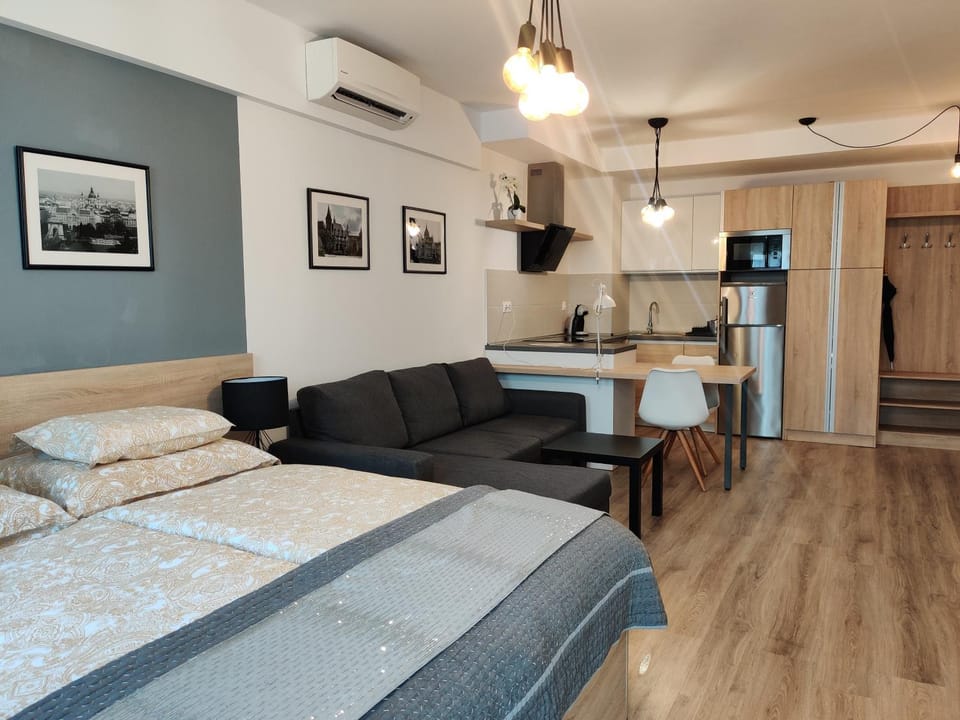 Bed, Kitchen or kitchenette, Living room, Photo of the whole room, Seating area, Bedroom, air conditioner