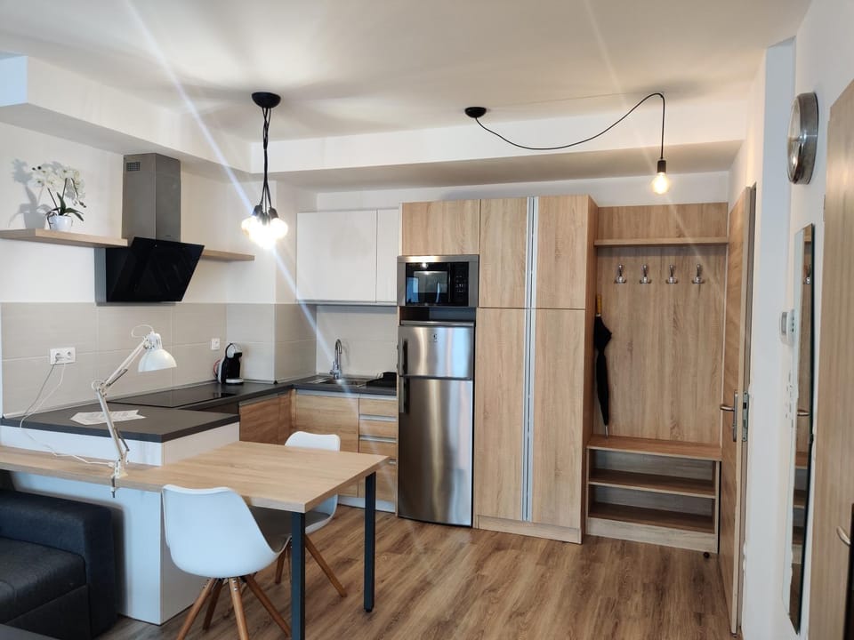 Kitchen or kitchenette, Dining area, oven, stove