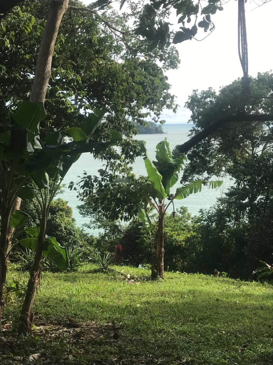 Howlers Bay Cabin and camping Cabin in Chiriquí Province