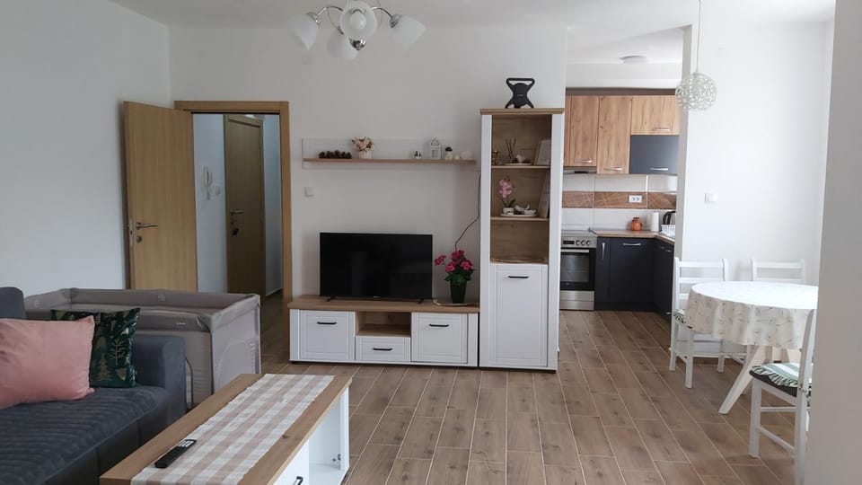 TV and multimedia, Kitchen or kitchenette, Living room, Dining area, oven, stove, kitchen