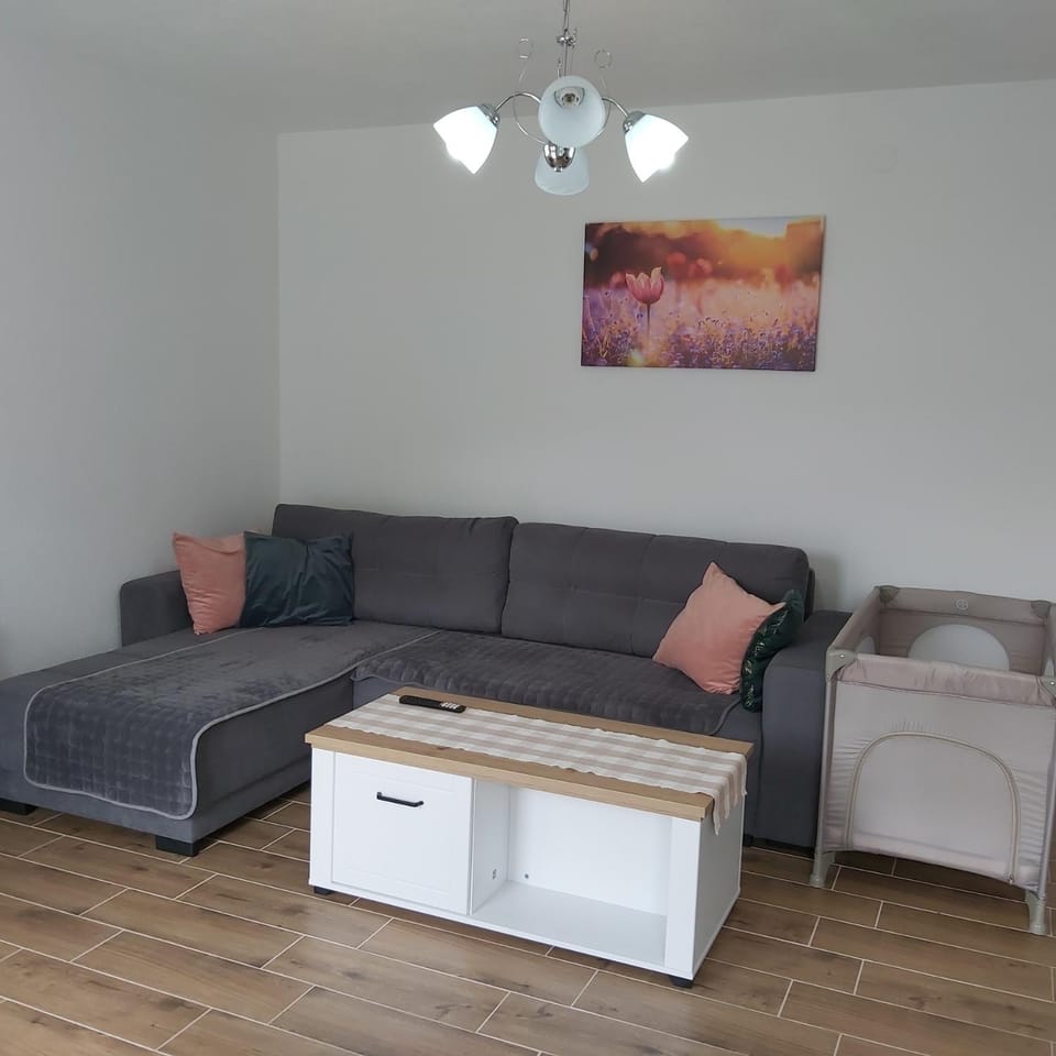 Apartman Nisić Apartment in Serbia