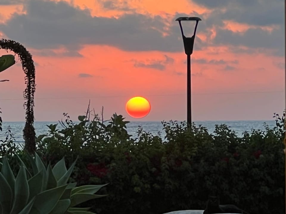 Natural landscape, On site, Sea view, Area and facilities, Area and facilities, Sunset