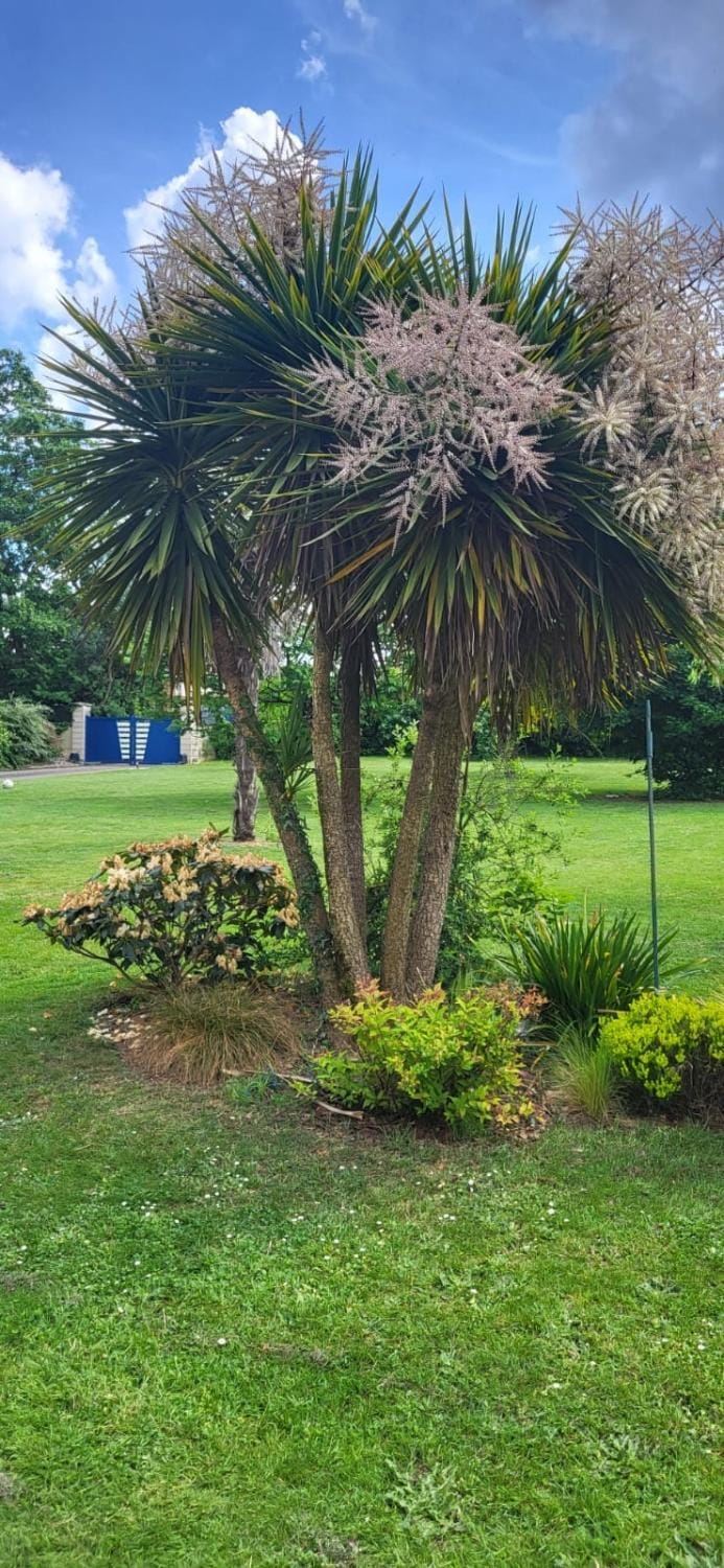 Un coin de paradis Apartment in Brittany