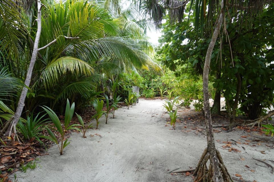 Stay Kora Bed and Breakfast in Maldives