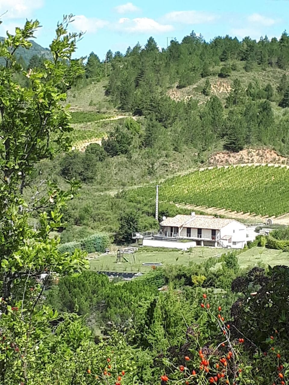 Maison Des Levriers met zwemvijver en airco in Katharenland Villa in Occitanie