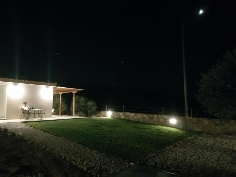 Property building, Night, Garden