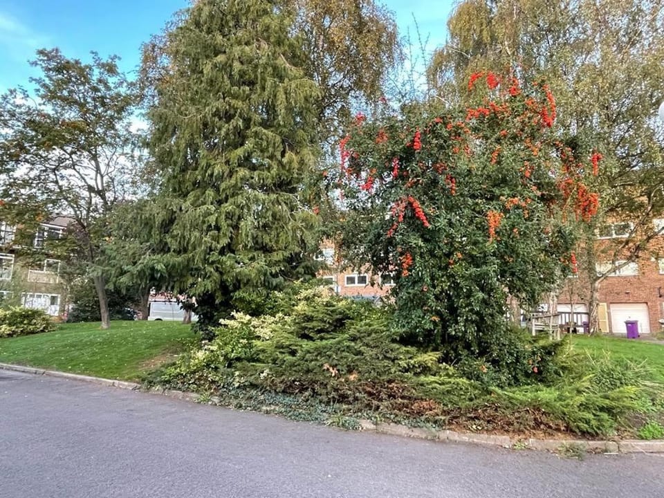 Natural landscape, Garden, Garden view