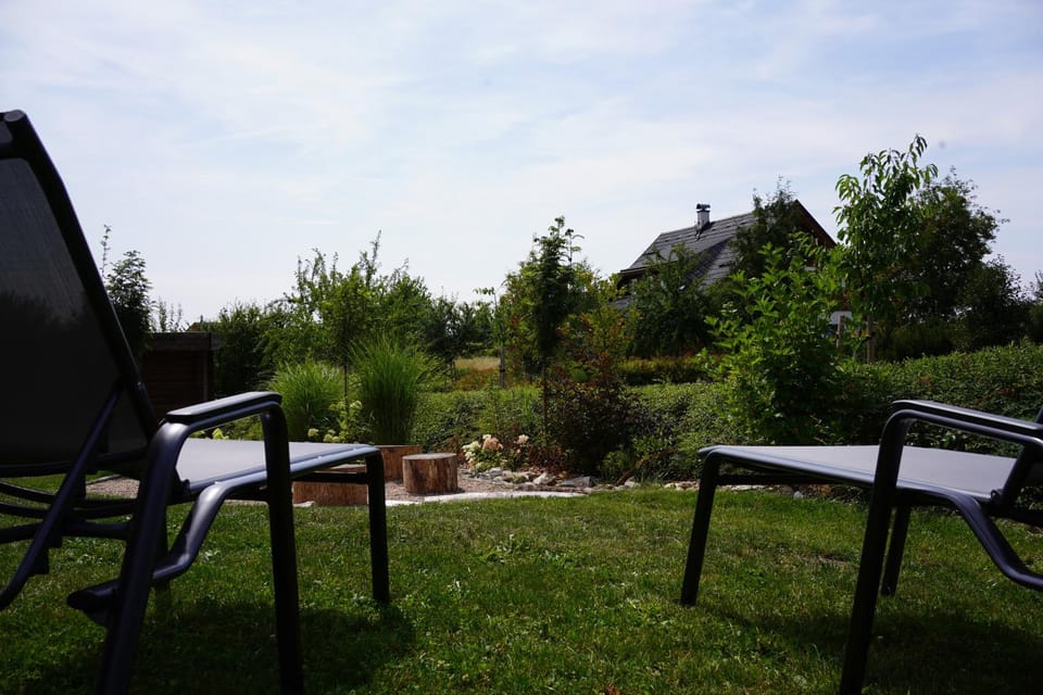 Natural landscape, Garden, Garden view, sunbed