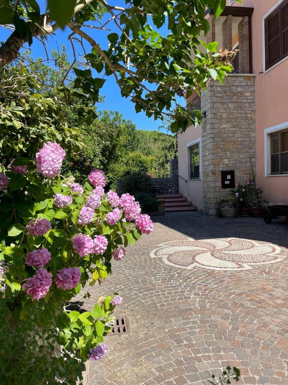 Garden view