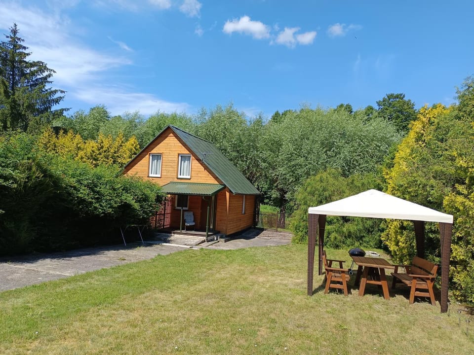 Property building, Garden, Garden view