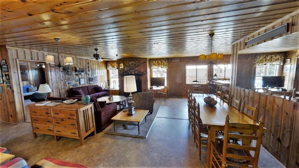 Day, Living room, Dining area, fireplace, furniture