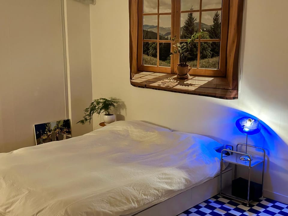 Bed, Photo of the whole room, Bedroom