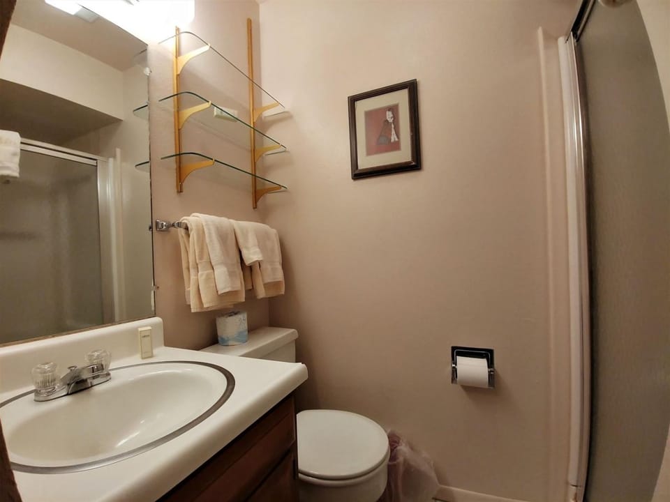 Toilet, Bathroom, towels