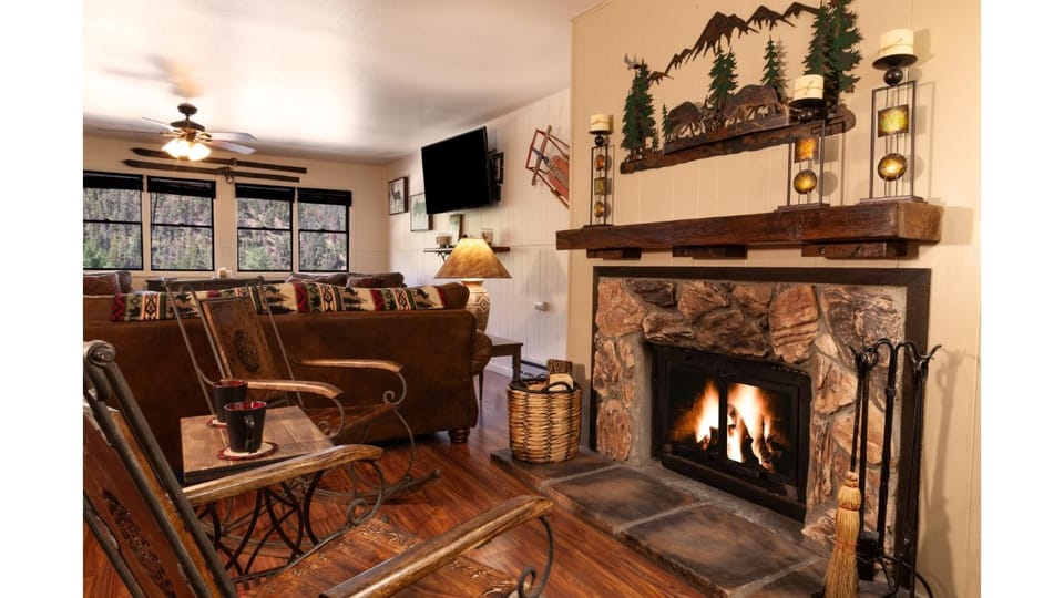Bed, TV and multimedia, Living room, fireplace, furniture, heating, air conditioner