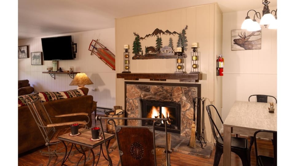 Day, TV and multimedia, Living room, Seating area, fireplace, furniture
