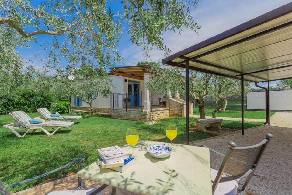 Natural landscape, Garden view, sunbed