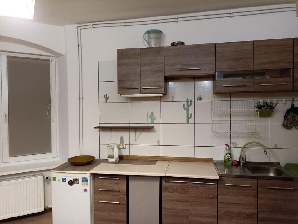 Kitchen or kitchenette, pet friendly