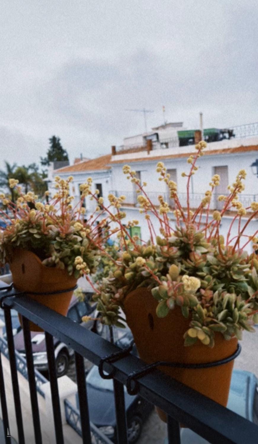 La morada de Rosafina Apartment in Frigiliana