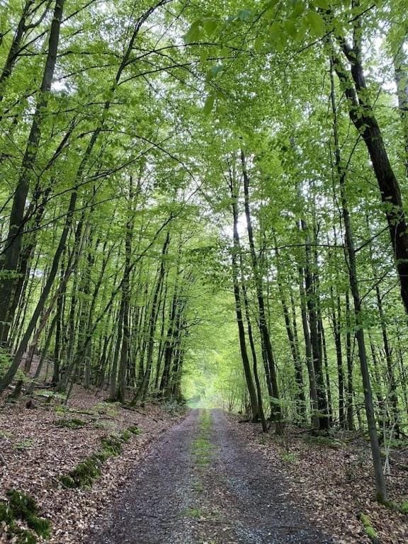 Natural landscape