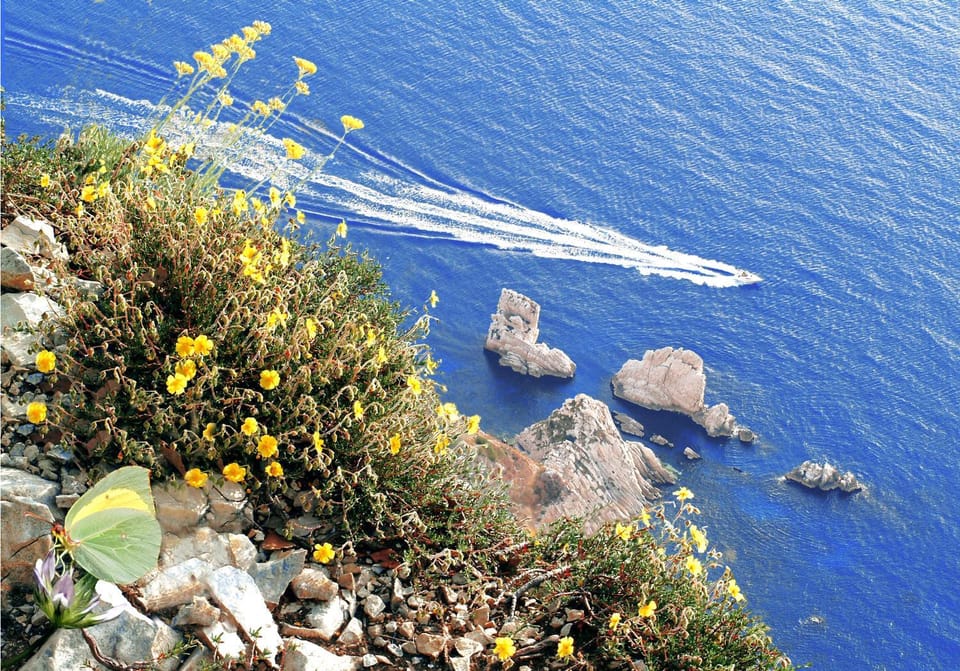 Natural landscape, Sea view