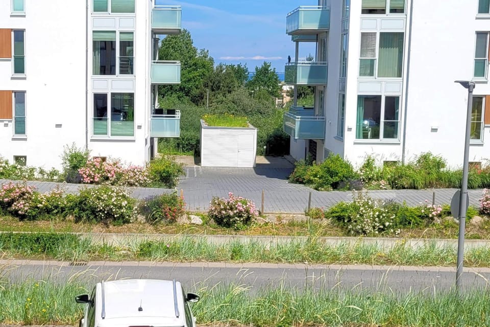 Lake view