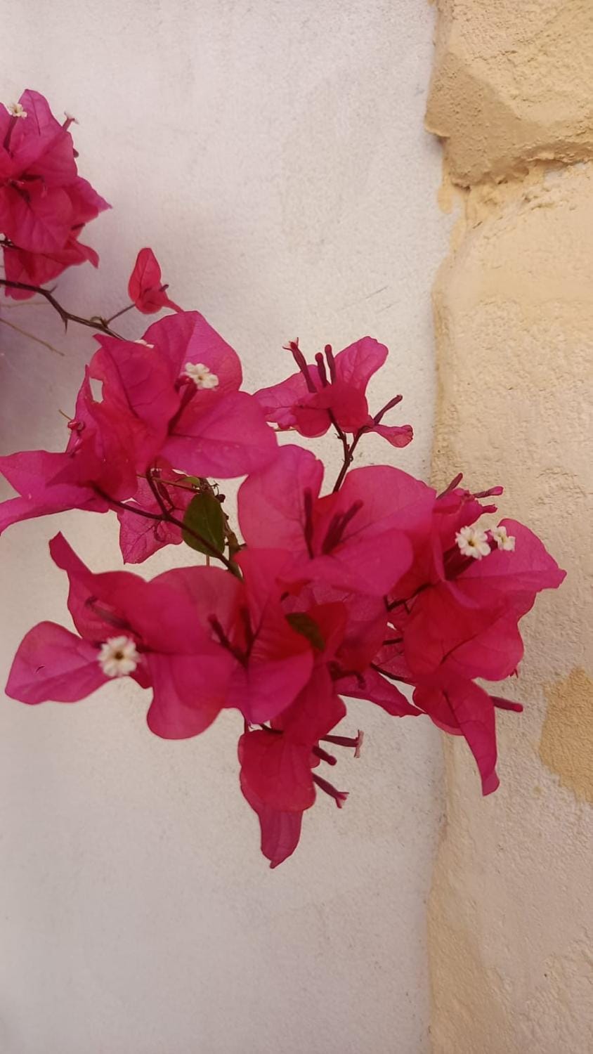 L'Alloggio dell'Artista Bed and Breakfast in Belpasso