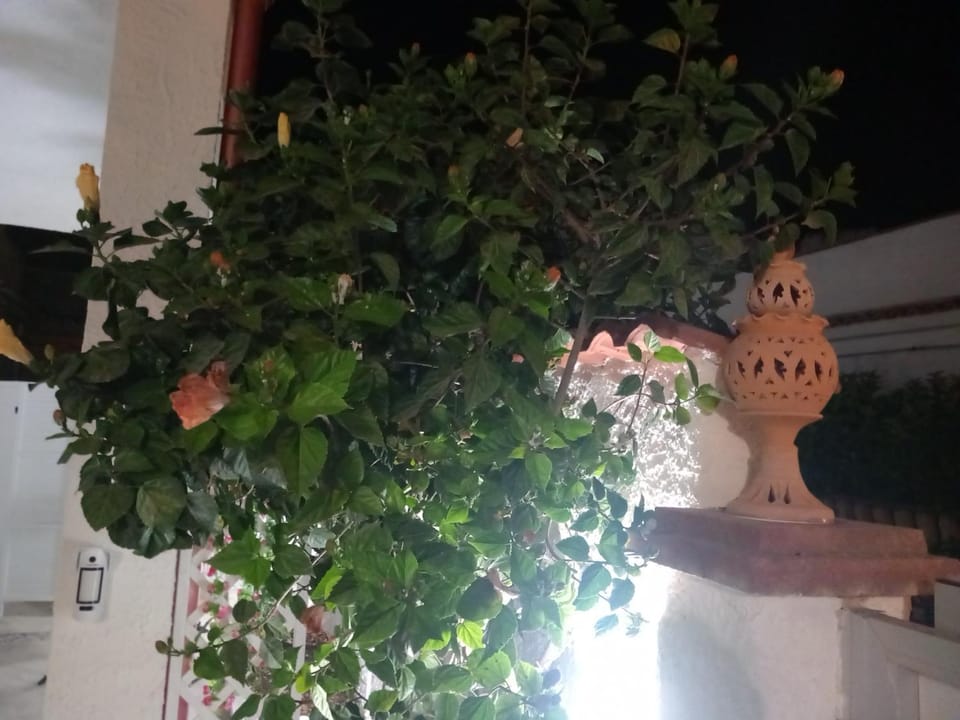 TOLUAMMARE Sicily House in Santa Maria del Focallo