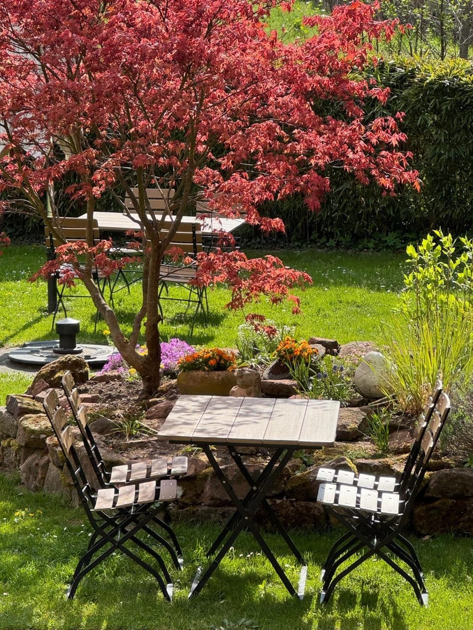Restaurant/places to eat, Spring, Garden, Dining area