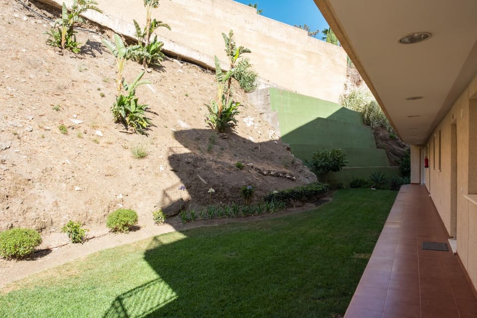 Patio, Garden, Garden view