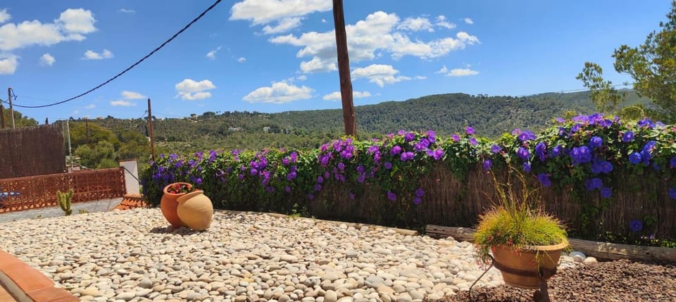 Natural landscape, Garden, Garden view, Mountain view