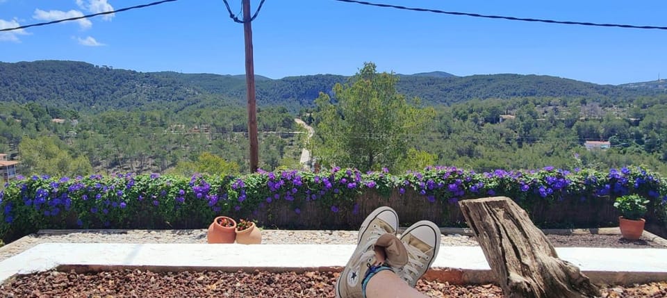 Natural landscape, Garden, Garden view, Mountain view