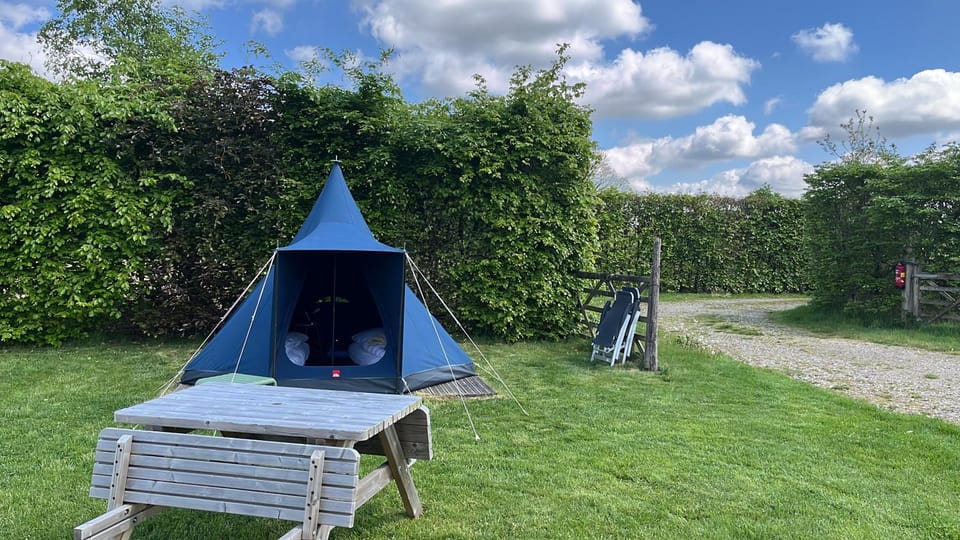 Erve Zonnehoeve Minicamping en Wijngaard Campground/ 
RV Resort in Gelderland, Netherlands
