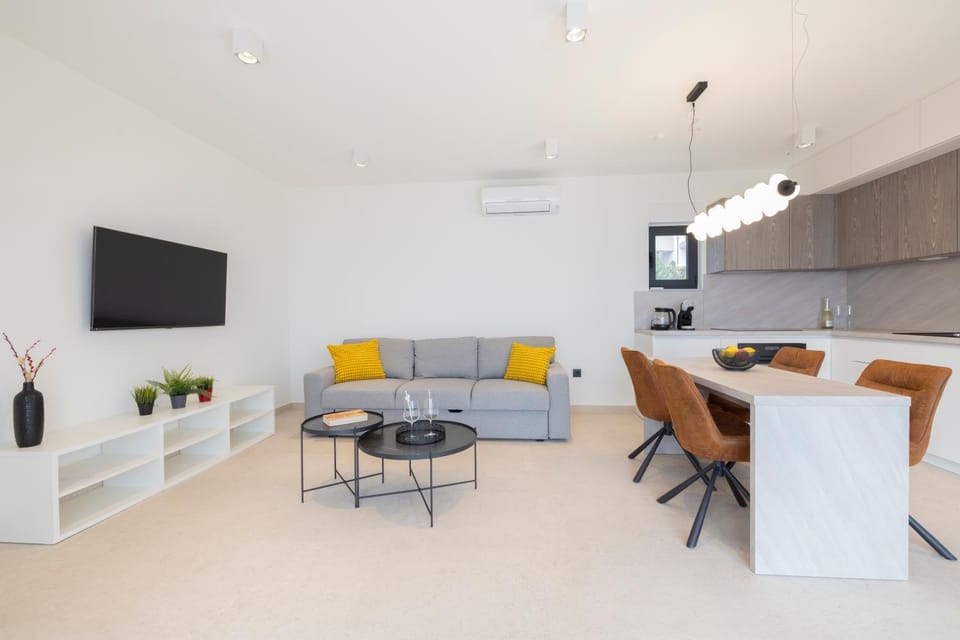 Communal lounge/ TV room, TV and multimedia, Kitchen or kitchenette, Living room, Seating area, Dining area, air conditioner