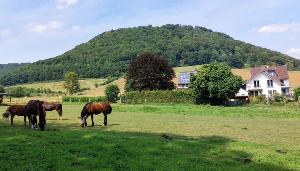 Property building, Natural landscape, Animals, Mountain view, Mountain view