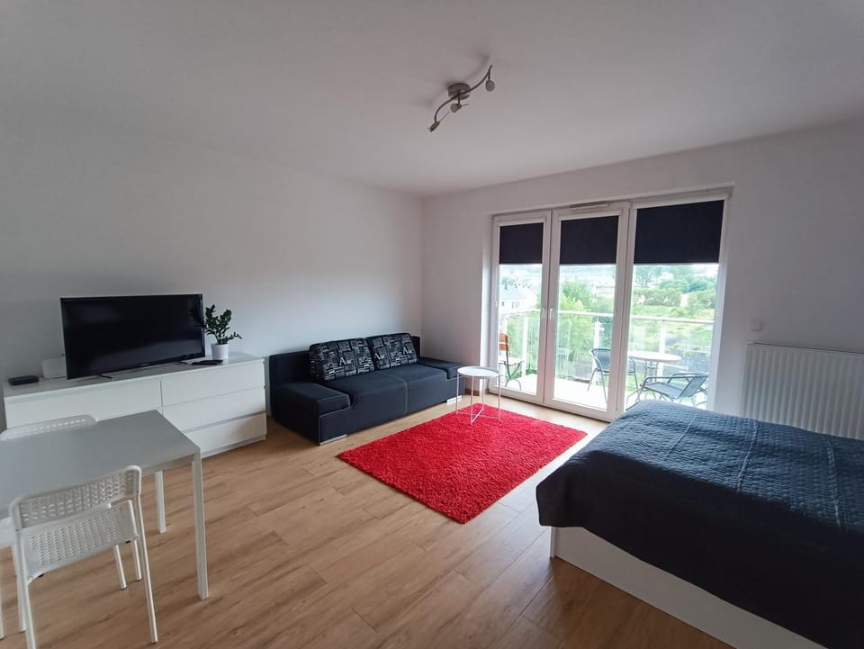 Communal lounge/ TV room, Bed, TV and multimedia, Photo of the whole room