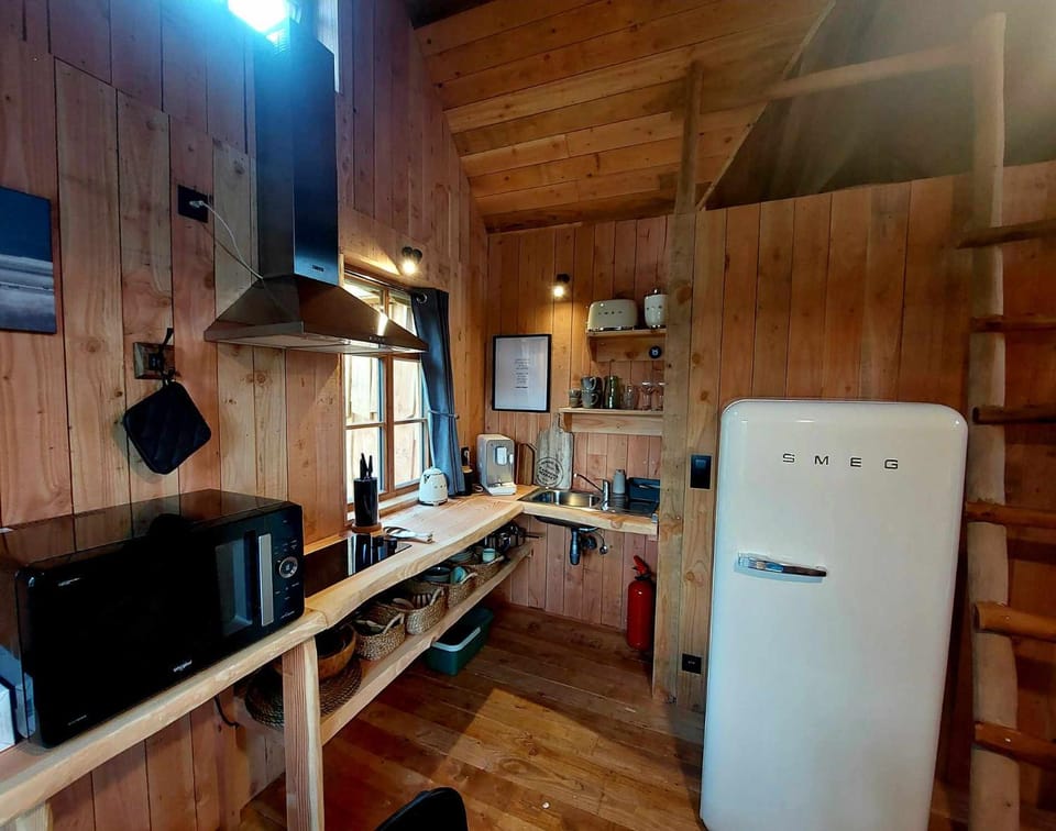Kitchen or kitchenette, oven, stove, toaster