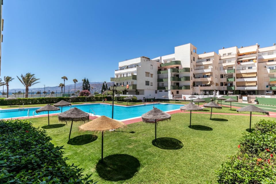 Garden, Swimming pool
