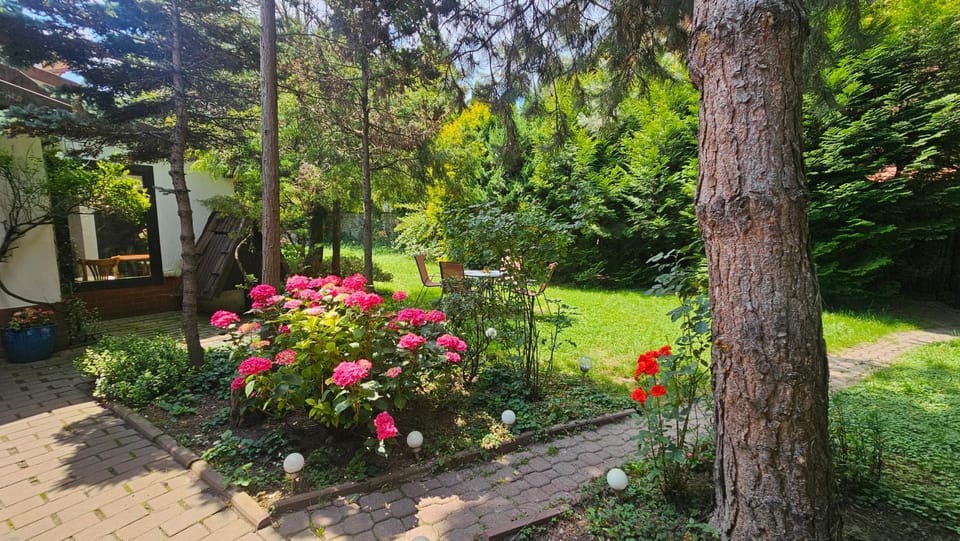 Property building, Natural landscape, Garden, Garden view