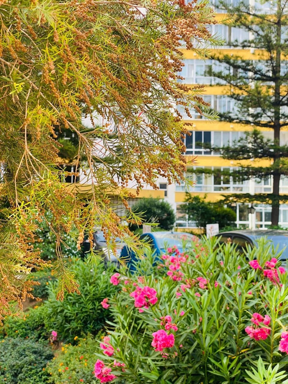 Terrazas del Sol Apartment in Fuengirola