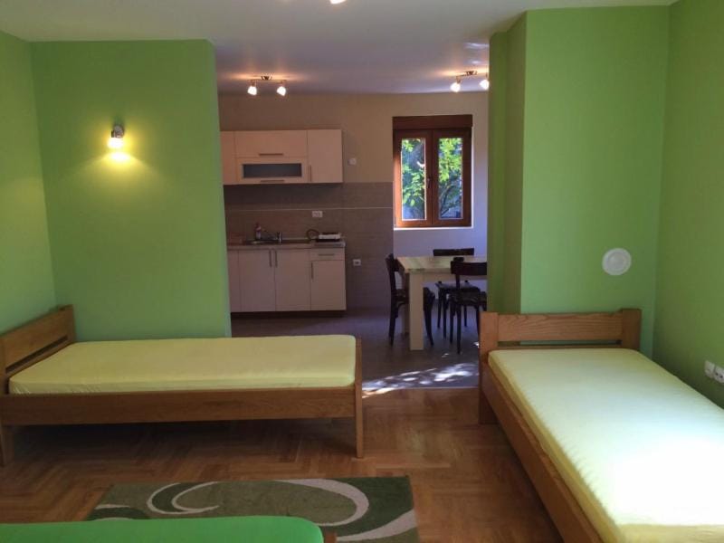 Bed, Kitchen or kitchenette, Living room, Photo of the whole room, Seating area