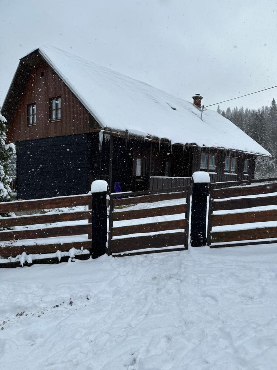 Winter