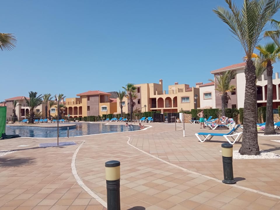 Swimming pool, sunbed