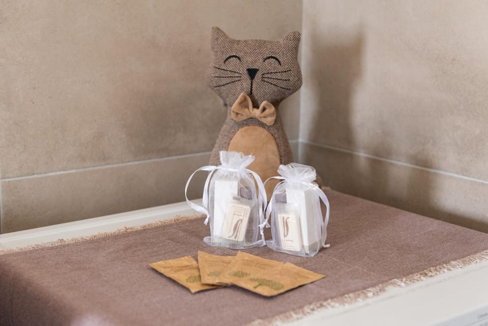 Bathroom, towels, washing machine