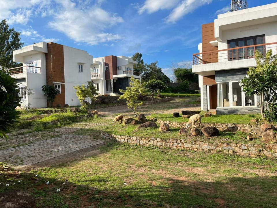 Day, Natural landscape, Garden, Garden view