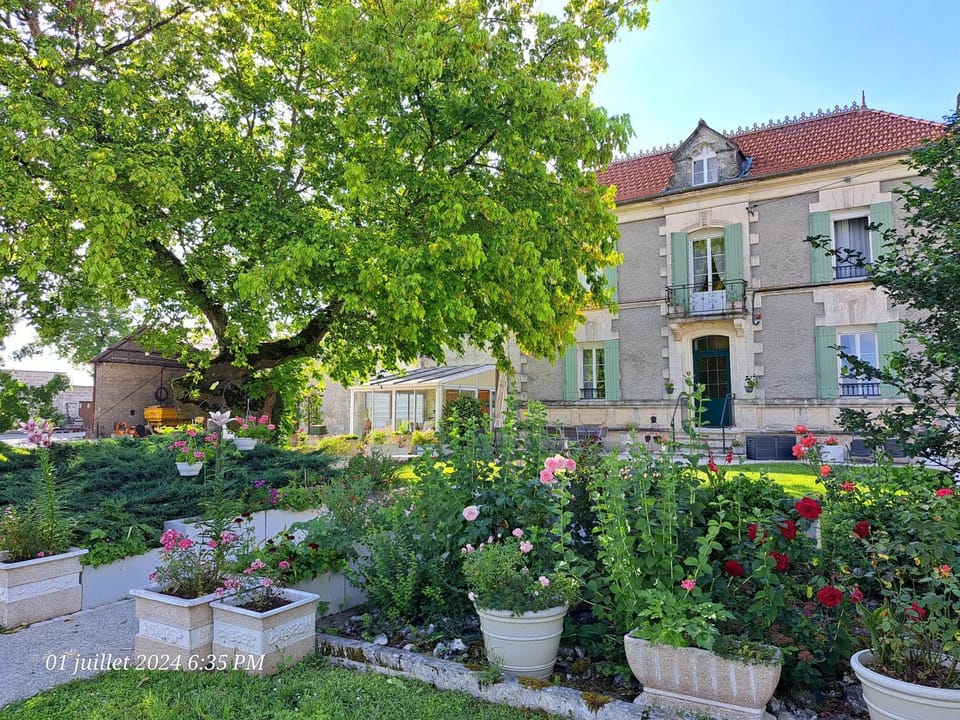 Property building, Garden view
