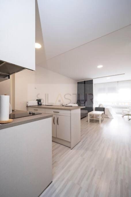 Pando Apartamento Apartment in Oviedo