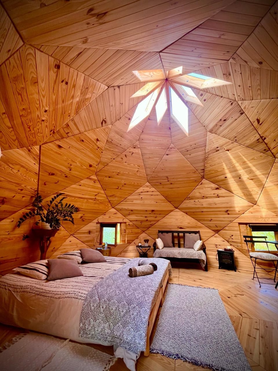 Bed, Photo of the whole room