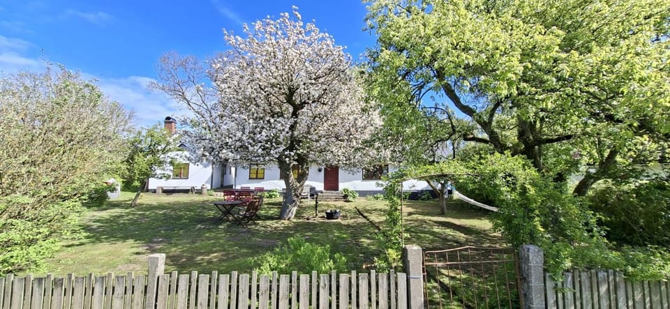 Fridfullt sommarhus mitt på Österlen House in Skåne County